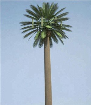 אנטנות סלולריות נסתרות על ידי מוביל