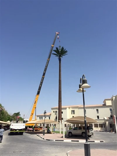 מונופולים לאינטרנט אלחוטי